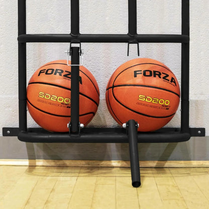 Wall Mounted Sports Ball Holder