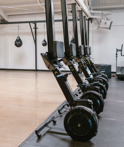 Concept 2 RowErg